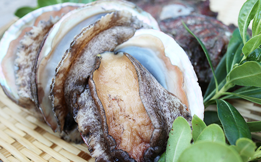 養殖活アワビ0.9kg