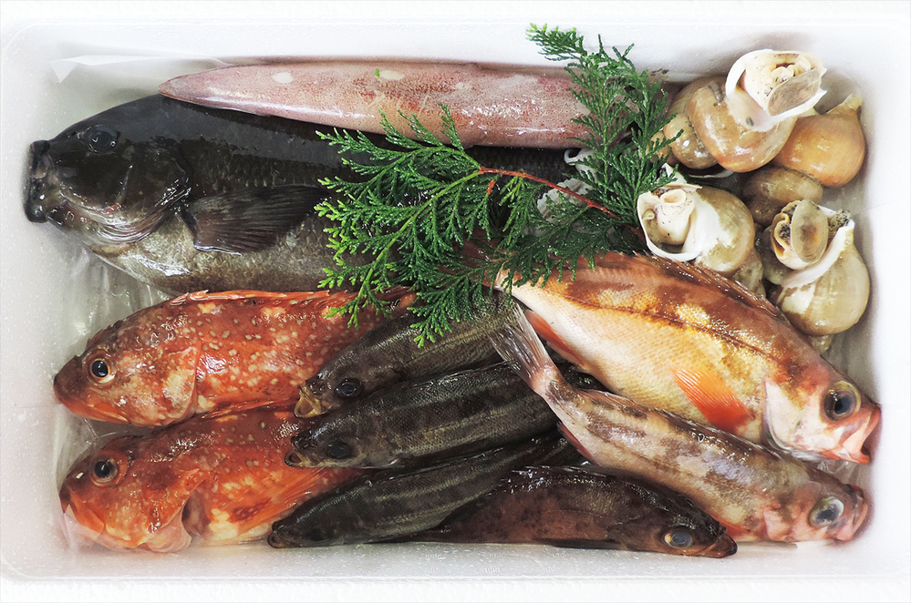 のぼるさんのうみさちセット