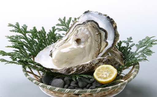 隠岐のいわがき「清海」Ｍ　12個セット