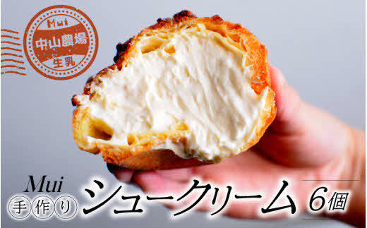 【中山農場生乳】手作り　シュークリーム6個