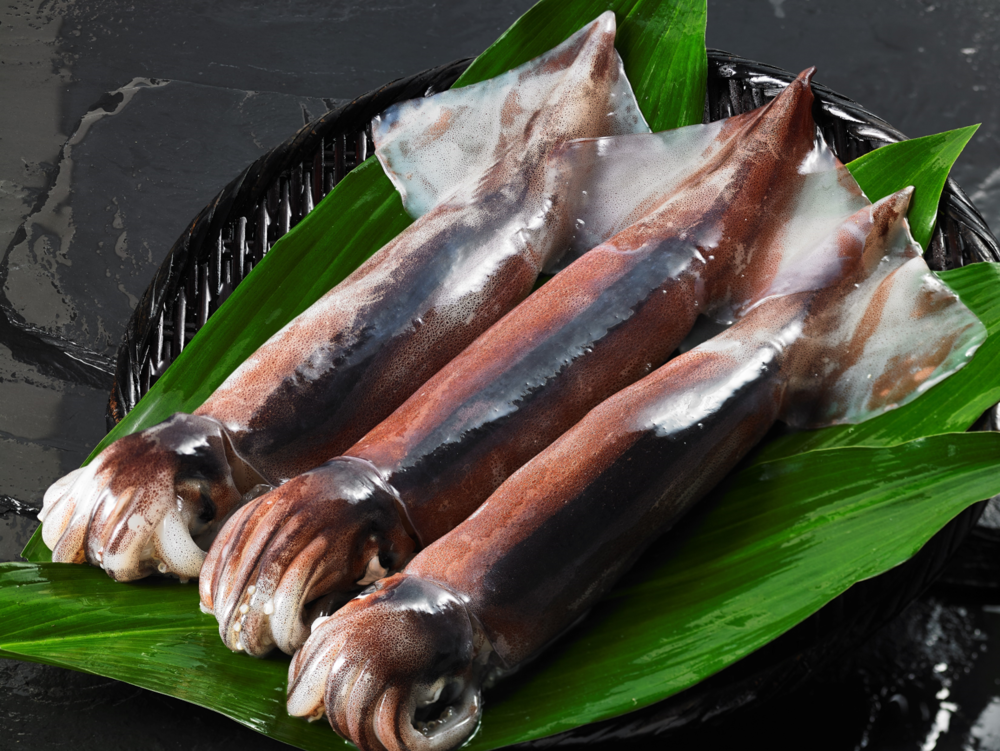 朝どれシマメ小サイズセット