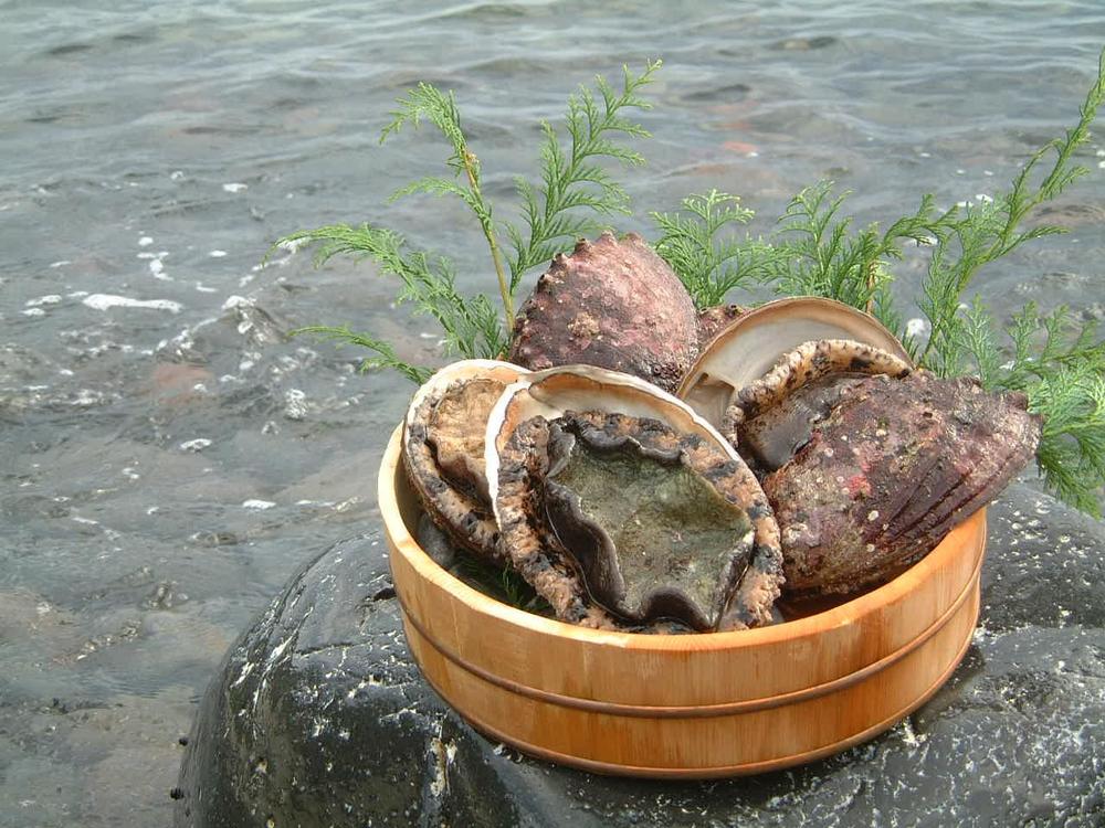 天然活あわび　1kg